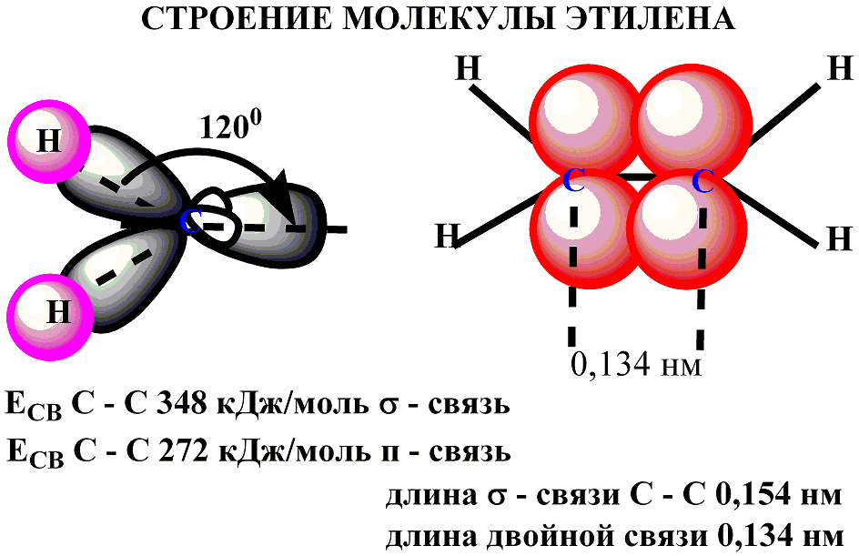 Строение алкенов рисунок